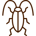 Cockroach pest control services by Carpet Addicts
