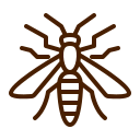 Wasp icon representing pest control services by Carpet Addicts.